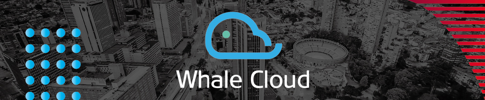 banner-whalecloud