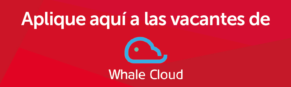boton-vacantes-whalecloud